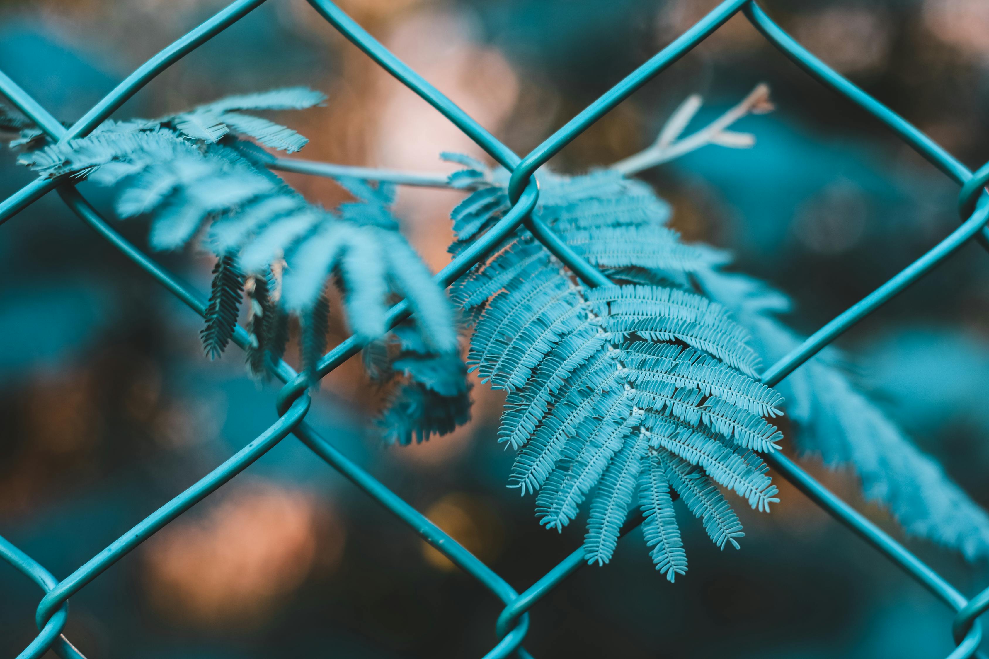SEO教程，提升网站流量的关键步骤详解