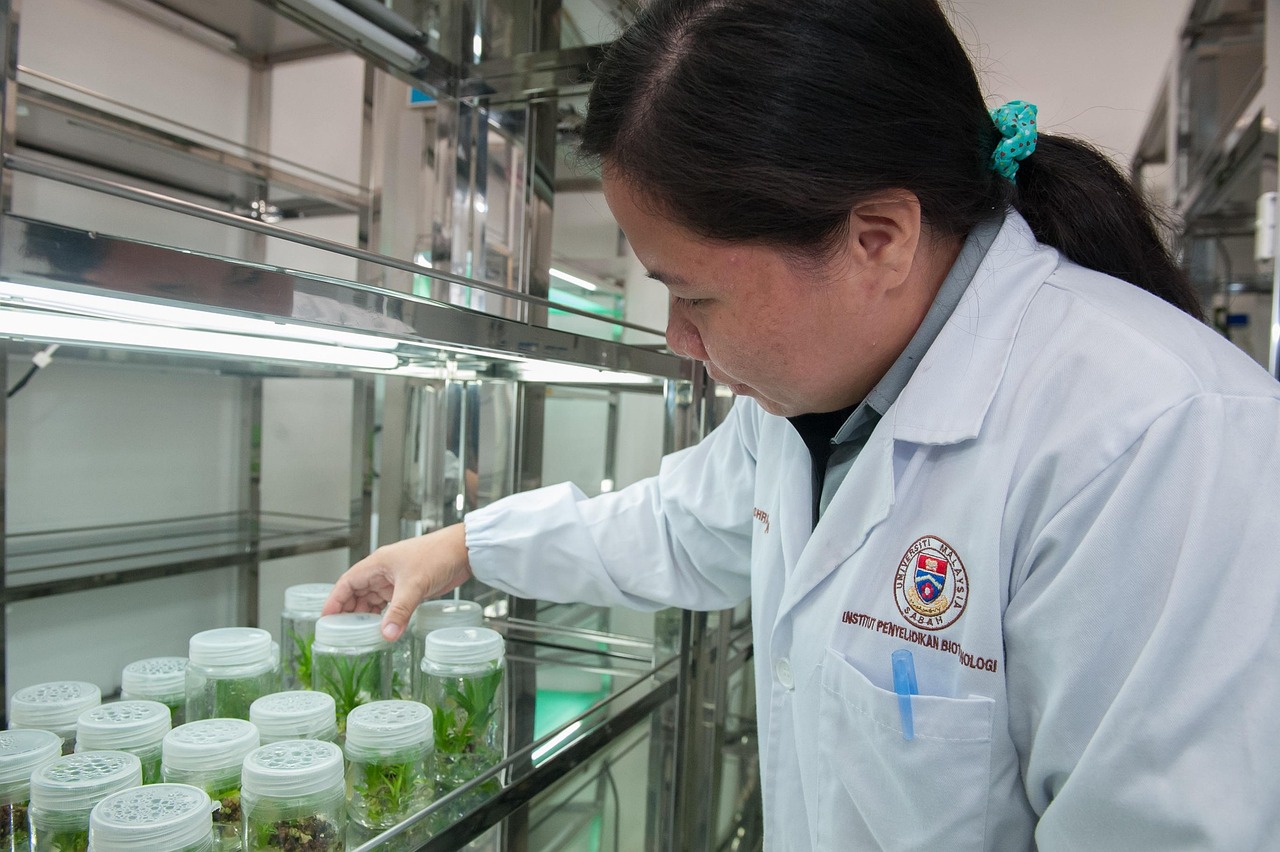 南宁网站设计网络科技有限公司 第775页