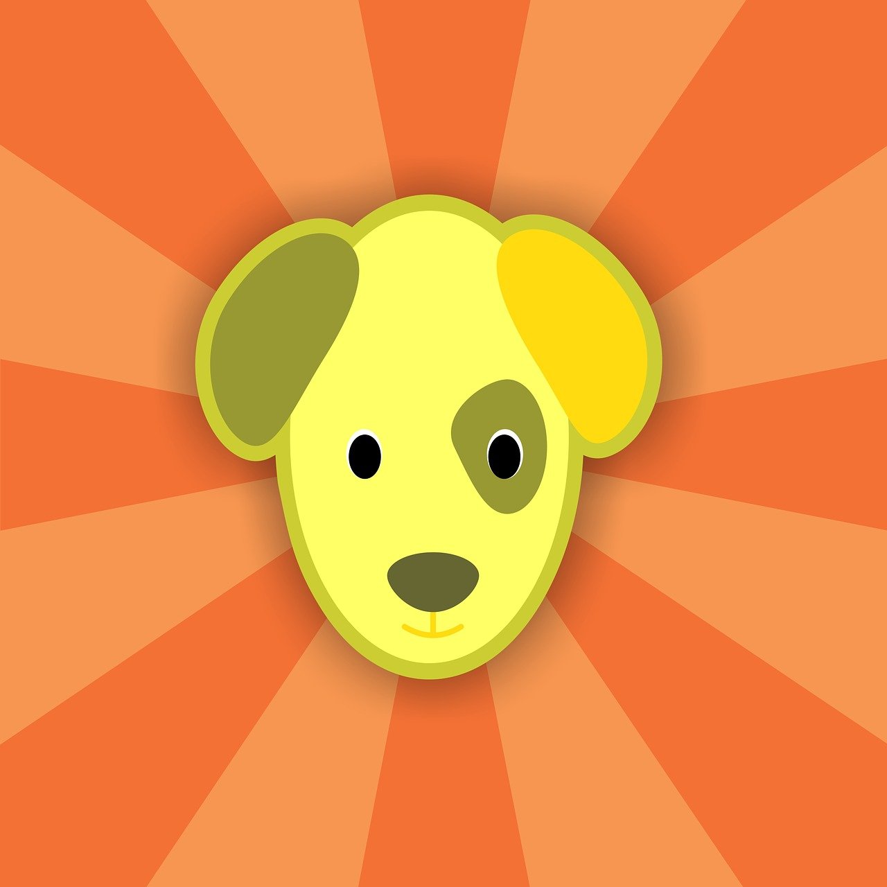 App制作器下载，创意无限的探索工具