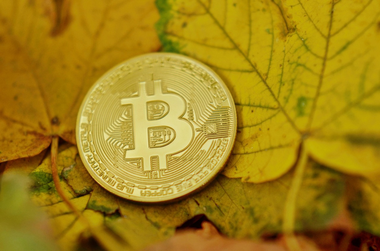 短视频排名SEO优化策略与实践指南