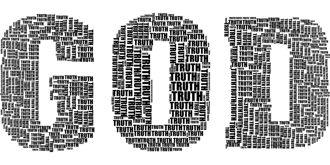 百科 第516页