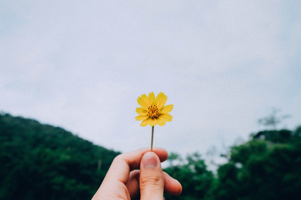 三期必出一期深度解读，第一期的重要性与价值揭秘