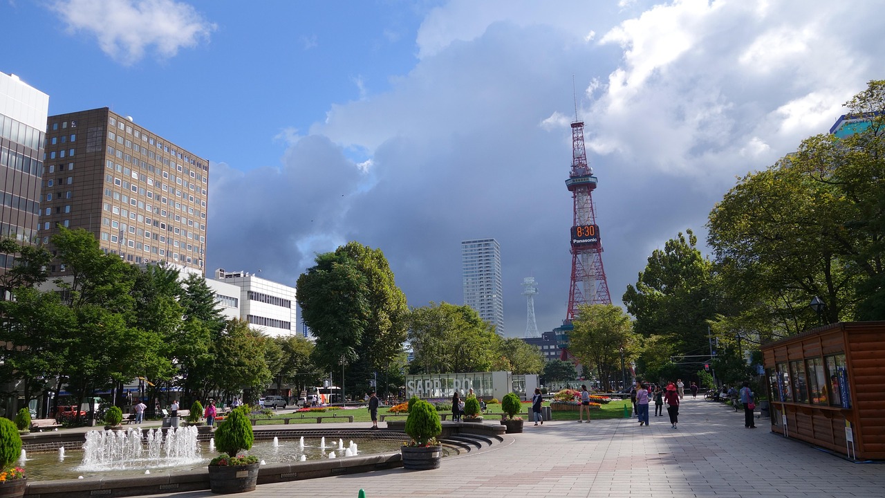 澳门最精准免费资料大全与旅游团，探索澳门之旅的完美组合