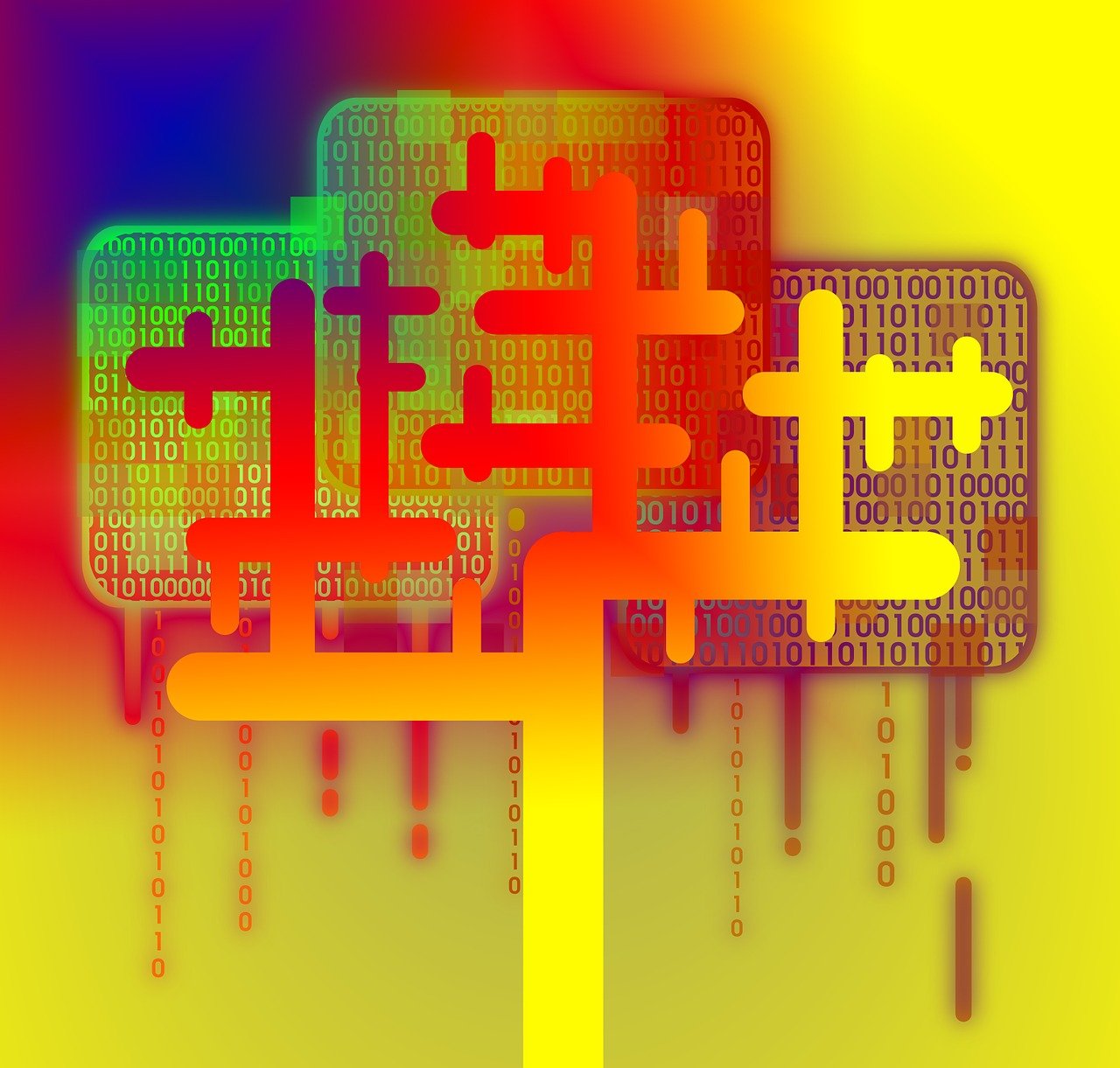 探索数字时代的无限可能，二四天天正版免费资源大放送